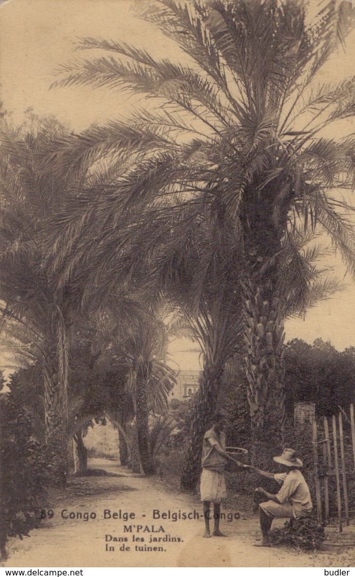 BELG. CONGO :1922: PWS/E.P./P.St.-ILLUSTR.** Nr.89 – 15 C. : PALMIERS,PALM-TREES,CLOTHES, - Postwaardestukken