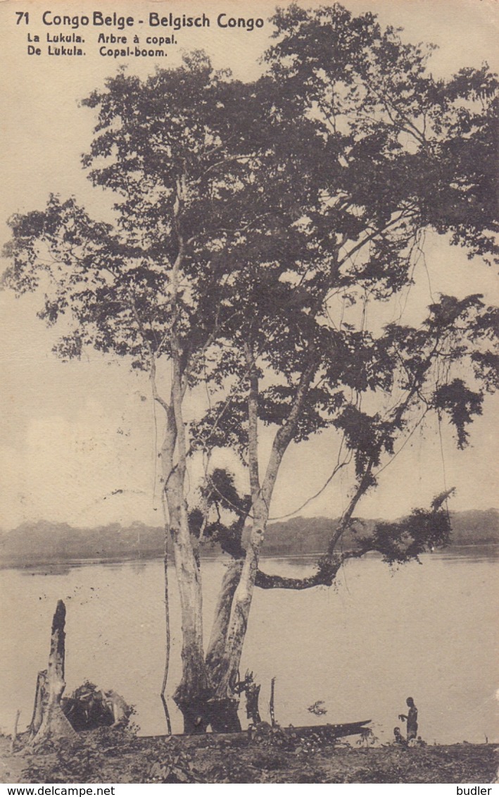 BELG. CONGO :1912: PWS/E.P./P.St.-ILLUSTR.° Nr.71 – 10 C. : RIVER,TREE,ARBRE,BOOM, - Postwaardestukken