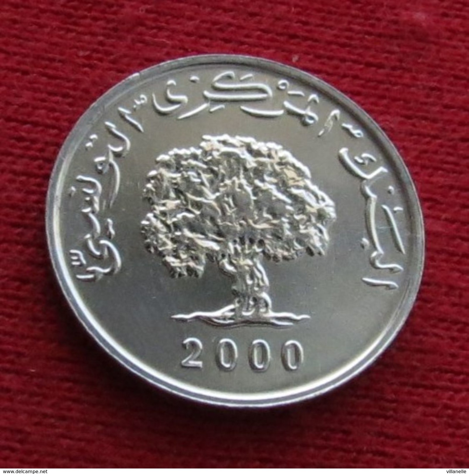 Tunisia 1 Millim 2000 FAO F.a.o. Tunisie Tunez Tunesia UNCºº - Tunisie