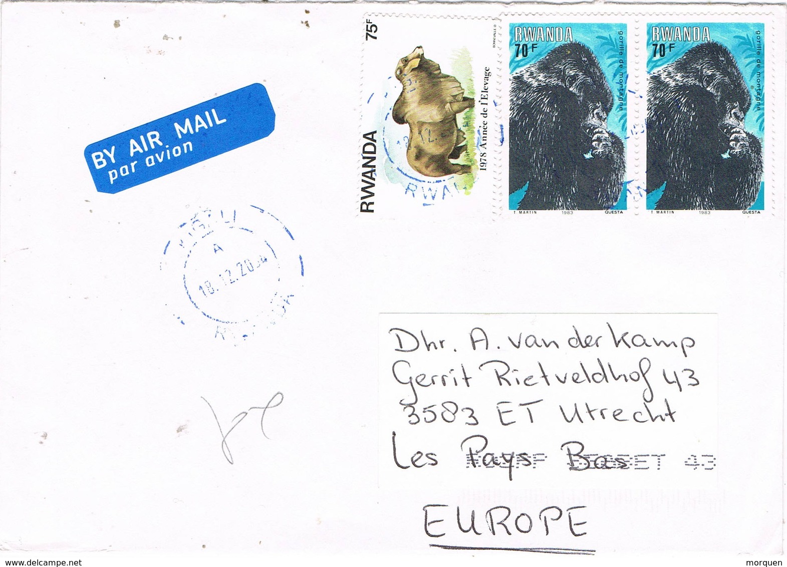 31168. Carta Aerea KIGALI (Rwanda) 2004. Gorila, Gorille Stamp - Sonstige & Ohne Zuordnung