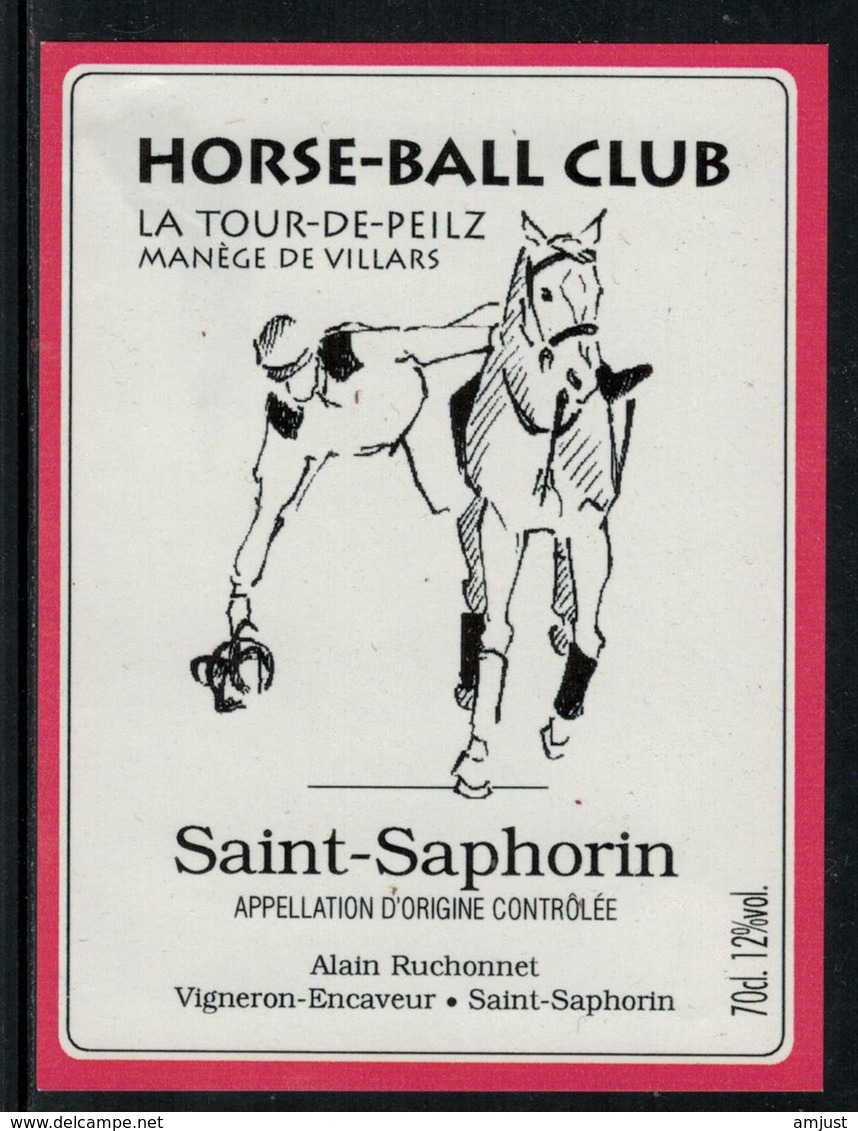 Rare // Etiquette De Vin // Chevaux //  St.Saphorin, Horse-Ball Club La Tour-de-Peilz - Chevaux