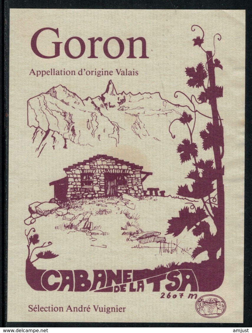 Rare // Etiquette De Vin // Montagne // Goron, Caane De La Tsa - Berge