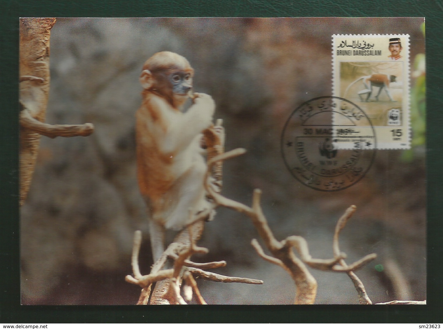 Brunei Darussalam 1991 , Proboscis Monkey / Der Nasenaffe - WWF Official Maximum Card - First Day 30 MAC 1991 - Brunei (1984-...)