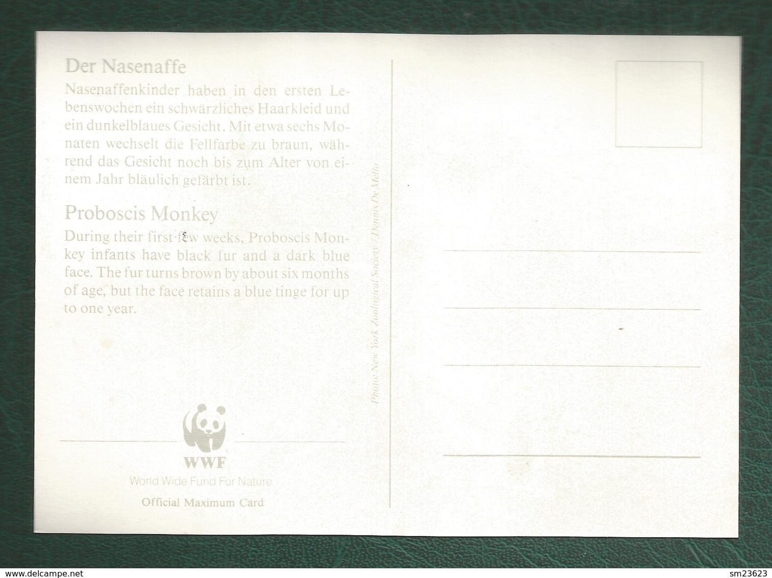 Brunei Darussalam 1991 , Proboscis Monkey / Der Nasenaffe - WWF Official Maximum Card - First Day 30 MAC 1991 - Brunei (1984-...)