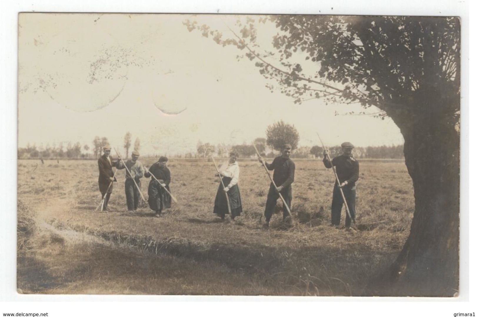 Foto Kaart Verstuurd Naar Antwerpen Vanuit De Kempen? Boeren Aan 't Hooien - Te Identificeren