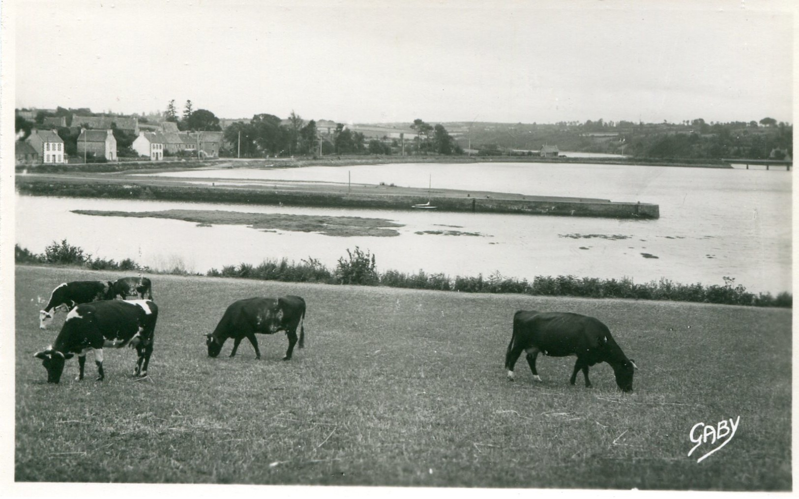 22 - PLESTIN-les-GREVES - Toul-An-Héry - Plestin-les-Greves