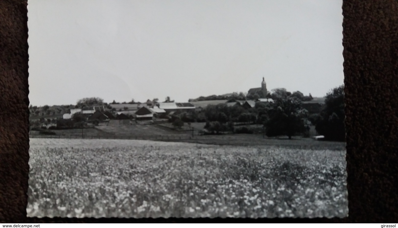 CPSM BERSAILLIN JURA VUE GENERALE ED JAVELOT NOTRE BEAU JURA - Autres & Non Classés