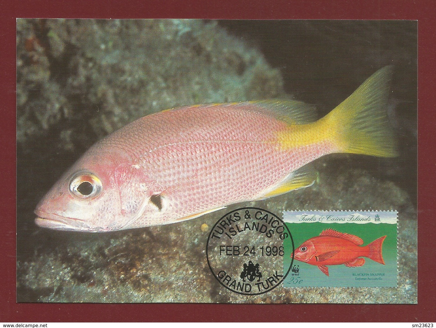 Turks & Caicos Islands 1998 , Blackfin Snapper / Schwarzflossenschnapper - WWF Official Maximum Card   FEB 24 1998 - Turks & Caicos (I. Turques Et Caïques)