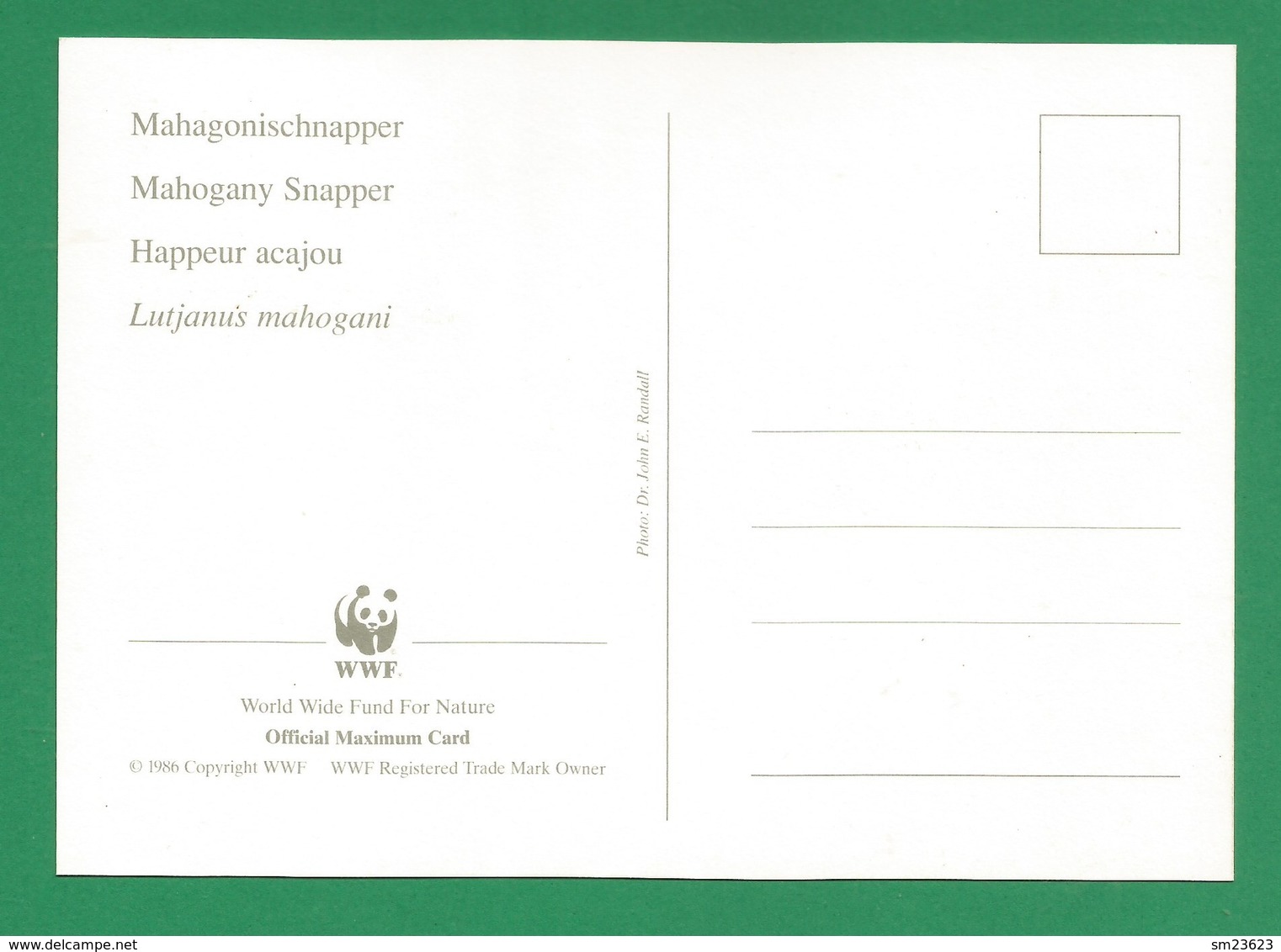 Turks & Caicos Islands  1998 , Mahogany Snapper / Mahagonischnapper - WWF Official Maximum Card   FEB 24 1998 - Turks & Caicos (I. Turques Et Caïques)