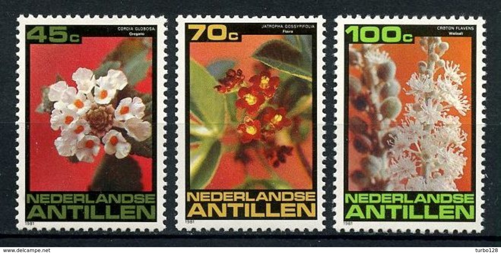 ANTILLES NEERL 1981 N° 644/646 ** Neufs  MNH  Superbes C 4,50 € Flore Fleurs Croton Flavens Cordia Globosa Flowers - Antilles