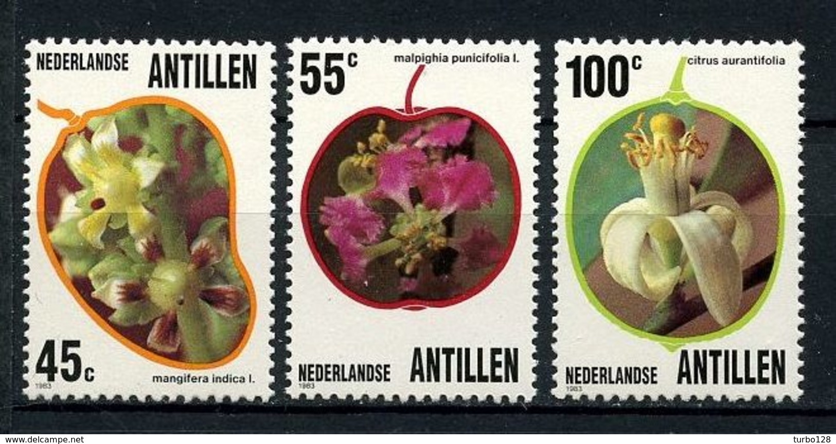 ANTILLES NEERL 1983 N° 684/686 ** Neufs  MNH  Superbes C 5,50 € Flore Fleurs Mangifera Indica Flowers - Antilles