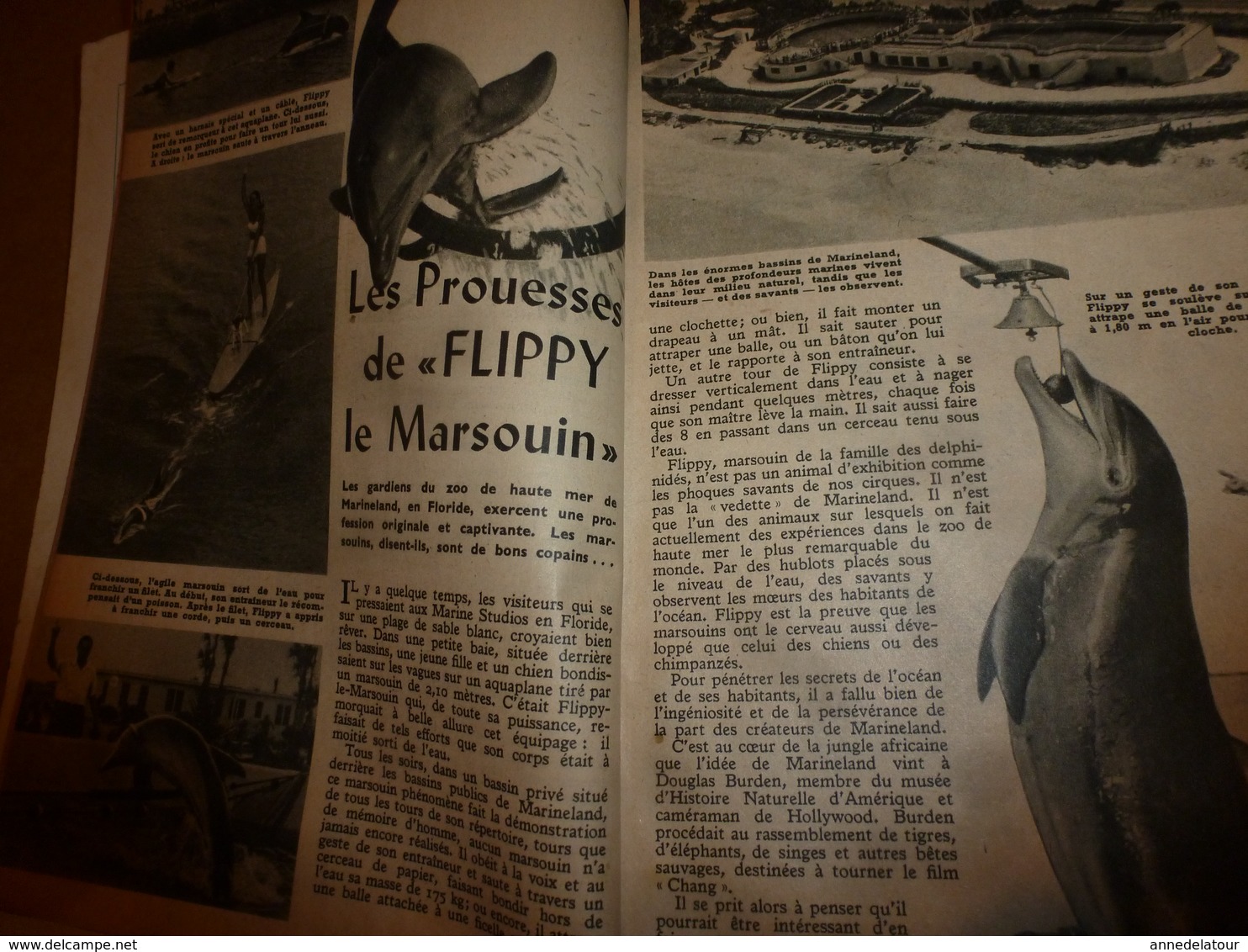 1953 MÉCANIQUE POPULAIRE:Magie Et Ultrasons;Tours De Cartes;Rayons Atomiques;Comment Faire Un Xilophon ; Etc - Other & Unclassified