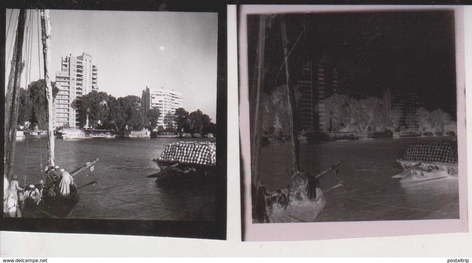 HOUSEBOATS ON THE NILE    EGYPT Celluloid Photo Negative Contact Photographs Negatives Cynthia Ellis Egypte AFRICA - Barcos