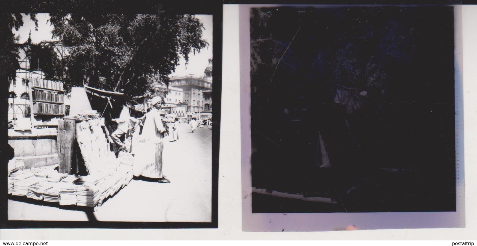 OPEN Air Bookstalls Opera Square EGYPT Celluloid Photo Negative Contact Photographs Negatives Cynthia Ellis  AFRICA - Africa