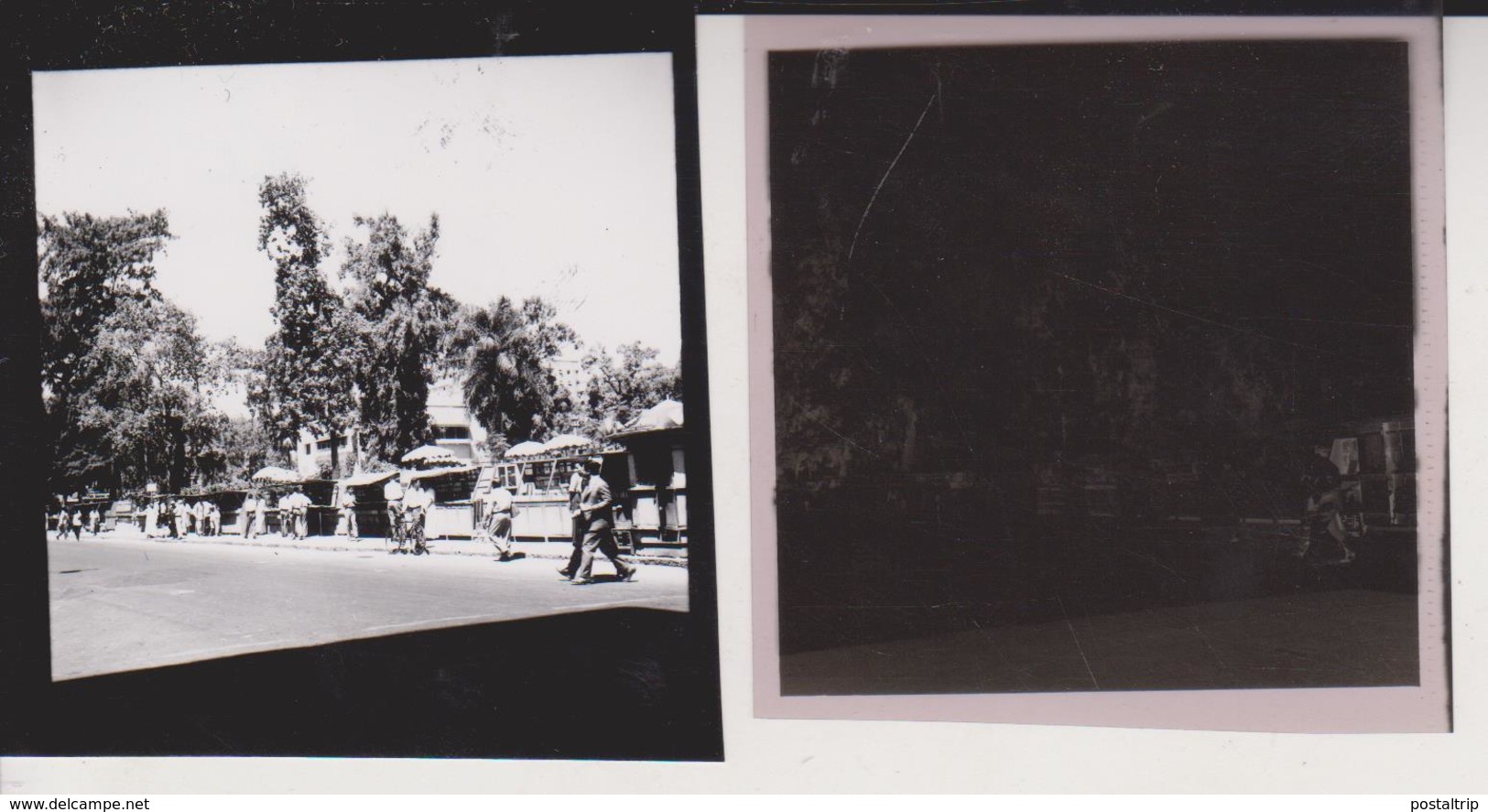 OPEN Air Bookstalls Opera Square EGYPT Celluloid Photo Negative Contact Photographs Negatives Cynthia Ellis  AFRICA - Africa