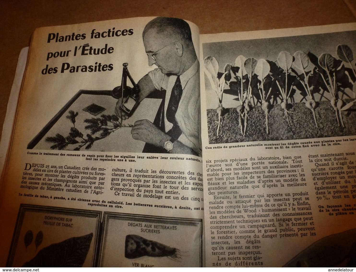 1951 MÉCANIQUE POPULAIRE: Un bateau transformable;Chasser à la fronde avec précision ;Carrelage murs et sols ;etc