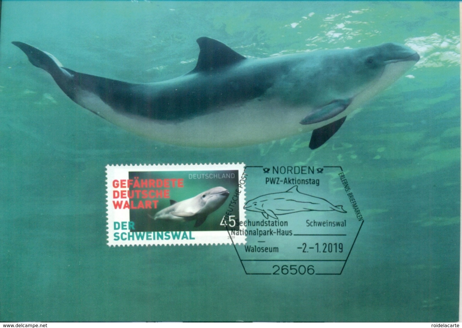 CM-Carte Maximum Card # Allemagne -Germany-2019 # Baleine,Wale,Whale,marsouin,porpoise,focena,bruinvis,marposa (1) - Sonstige & Ohne Zuordnung