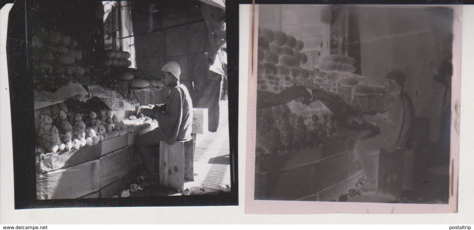 STREET SCENES  CAIRO  EGYPT Celluloid Photo Negative Contact Photographs Negatives Cynthia Ellis  AFRICA - Africa