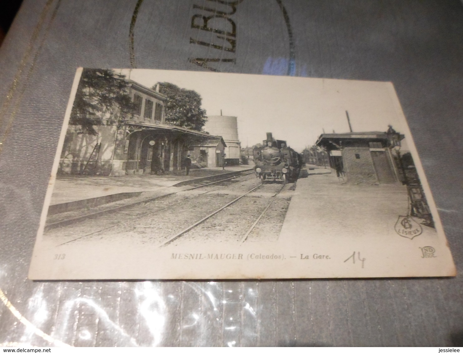 CPA ANIMEE - LA GARE DE MESNIL MAUGER - Gares - Avec Trains