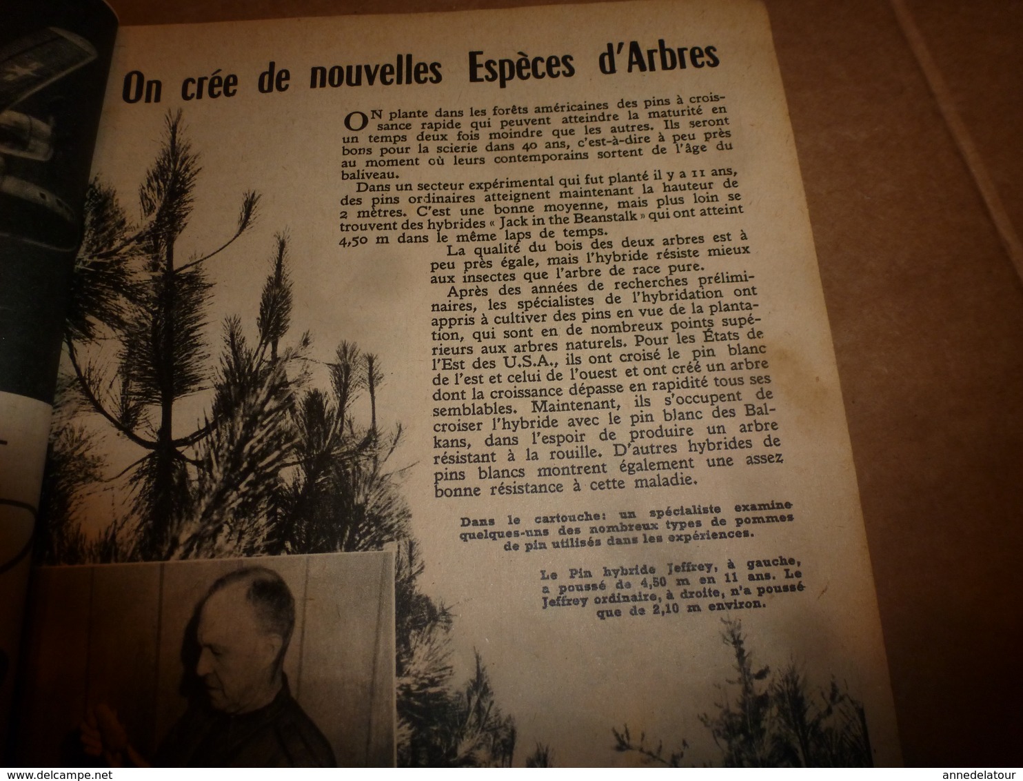 1951 MÉCANIQUE POPULAIRE:La Maison En Mélasse;Contre L'humidité ; Nouvelles Espèces D'arbres ; Automobile De Demain;etc - Autres & Non Classés