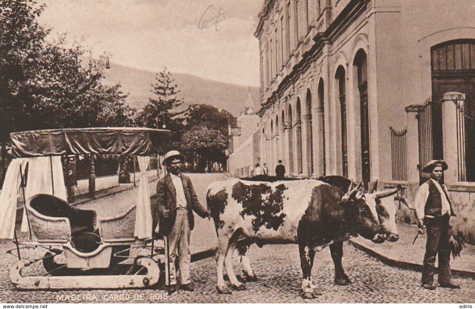 *** PORTUGAL   ***  MADEIRA  Carro De Bois - Neuve/unused - Madeira