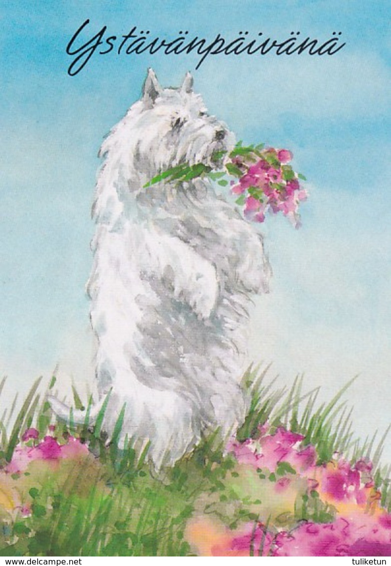 Postal Stationery - Dog - Westie Keeping Flowers In Mouth - Red Cross 1992 - Suomi Finland - Postage Paid - Entiers Postaux