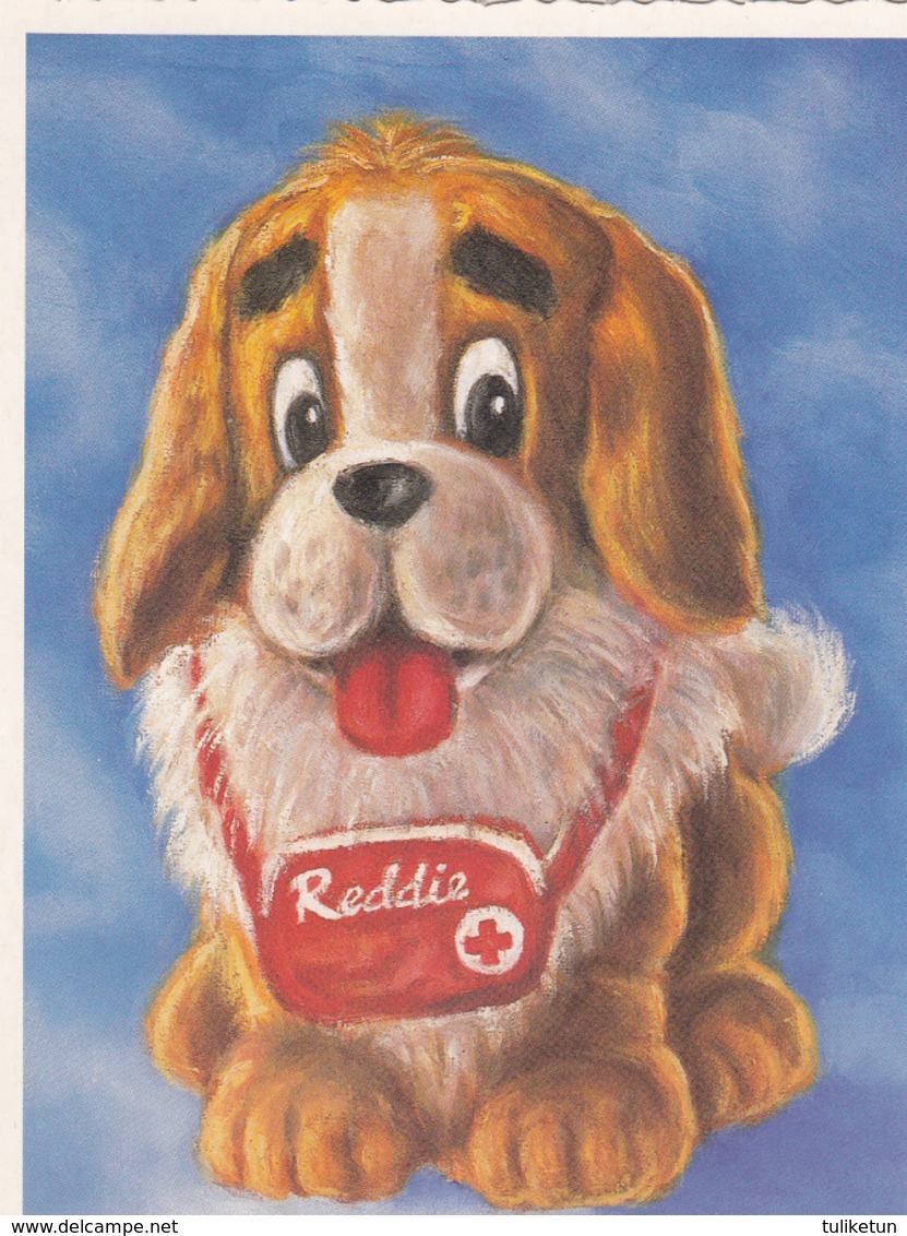 St. Bernhard Dog Reddie By Terho Peltoniemi - Red Cross Suomi Finland - Croix-Rouge