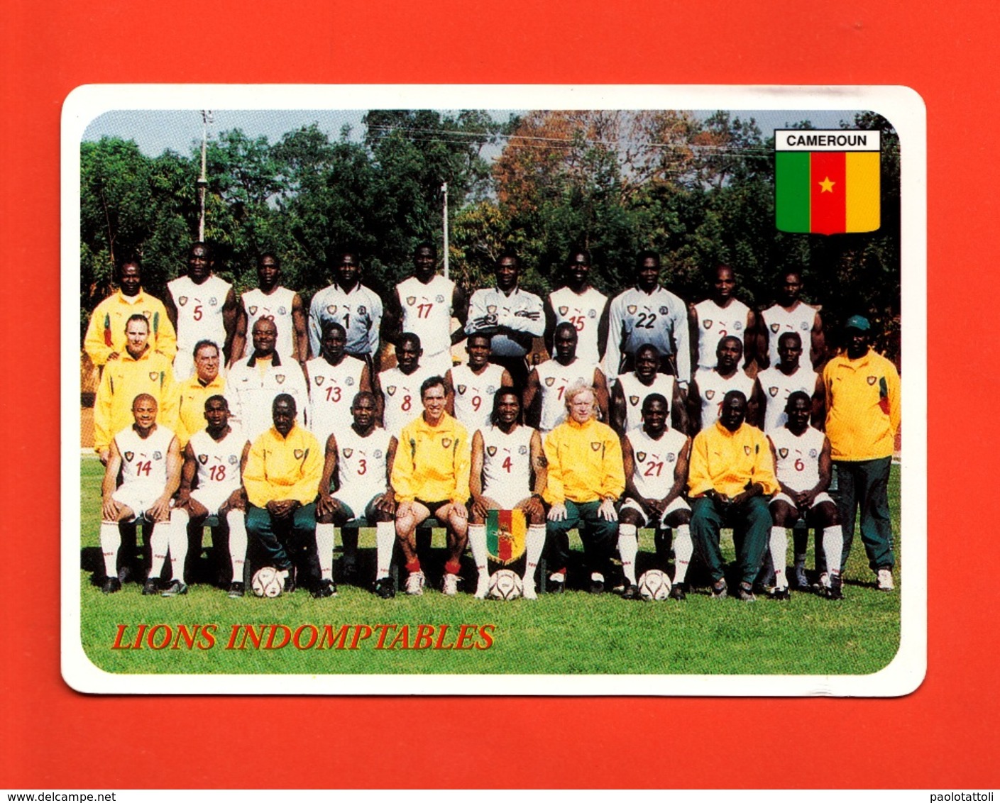 Cameroun- Football Team ' Lions Indomptables. Standard, New, Divided Back, Ed. Tifcartes N° 0385 - Kameroen