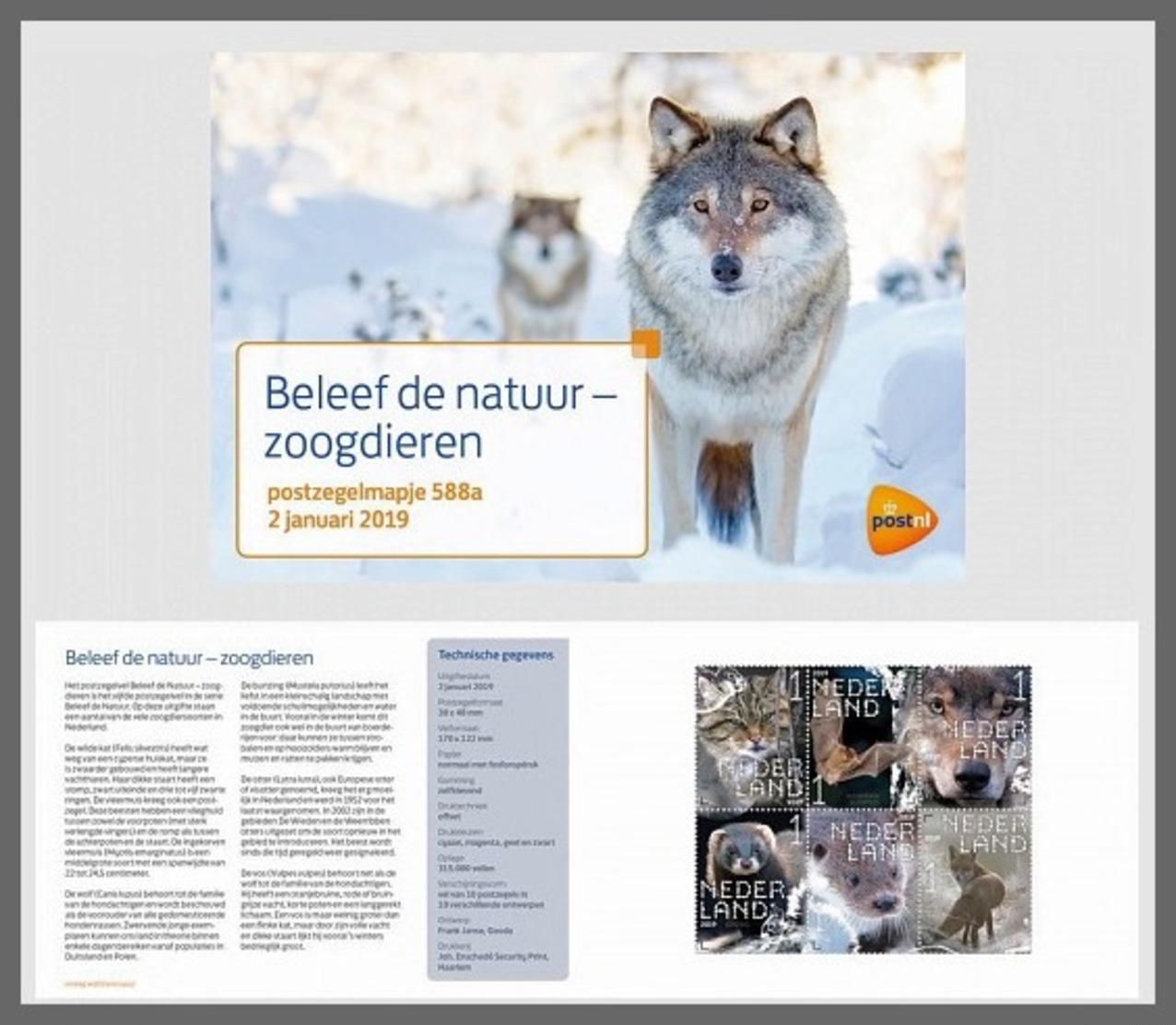 H01 Netherlands 2019 Experience Nature Mammals Presentation Pack - Nuovi