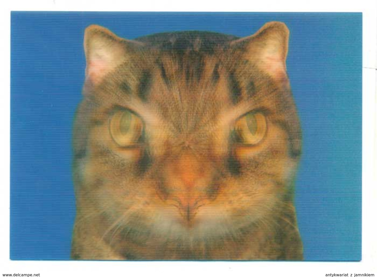 Trójwymiarowa Lenticulaire 3D - Zwierzęta Kot Cat - Gatti