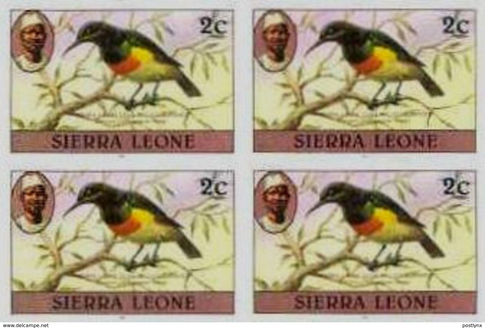 SIERRA LEONE 1980 Birds Sunbird 2c Imp.1983 No Wmk IMPERF.4-BLOCK - Sierra Leone (1961-...)