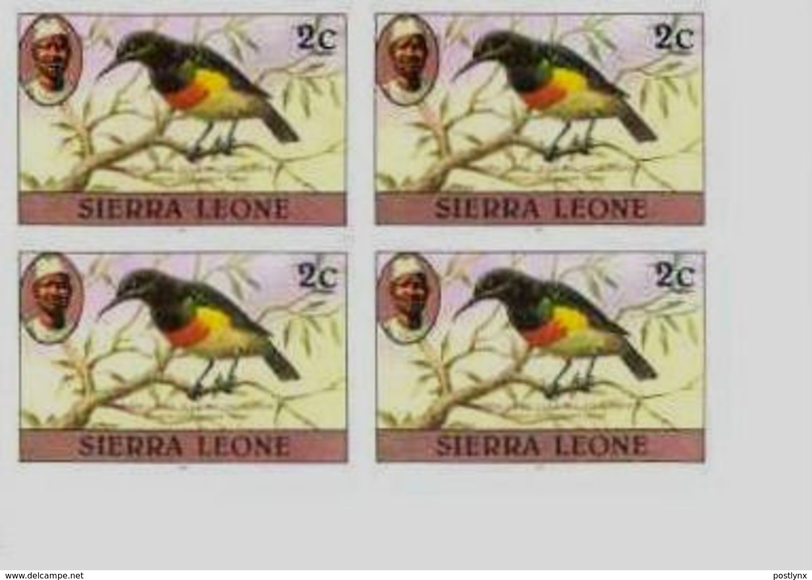 SIERRA LEONE 1980 Birds Sunbird 2c Imp.1983 No Wmk CORNER IMPERF.4-BLOCK - Sierra Leone (1961-...)