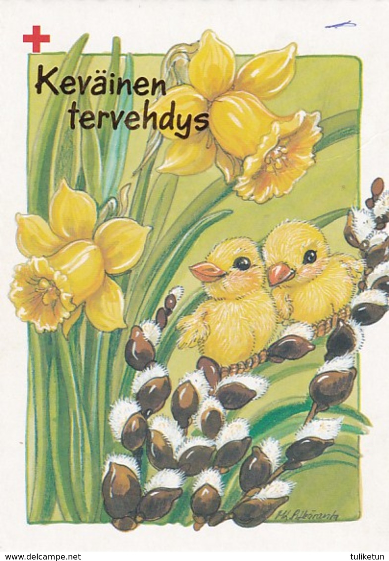 Easter Chicken - Willows - Daffodils - Pitkäranta - Red Cross 1996 - Suomi Finland - Postage Paid - Croix-Rouge