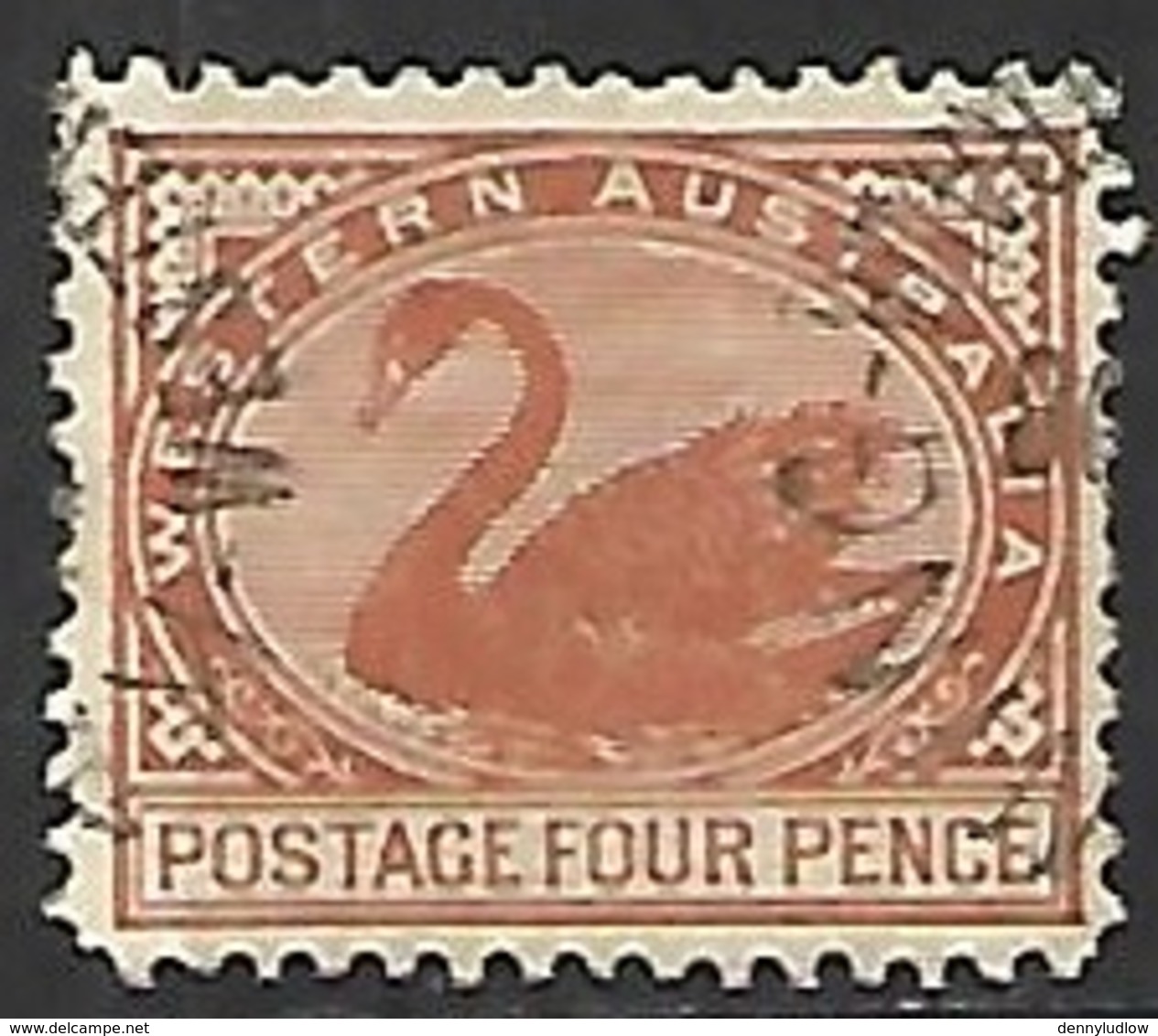 Western Australia   1905   Sc#93    4p Swan Used   2016 Scott Value $12 - Gebraucht