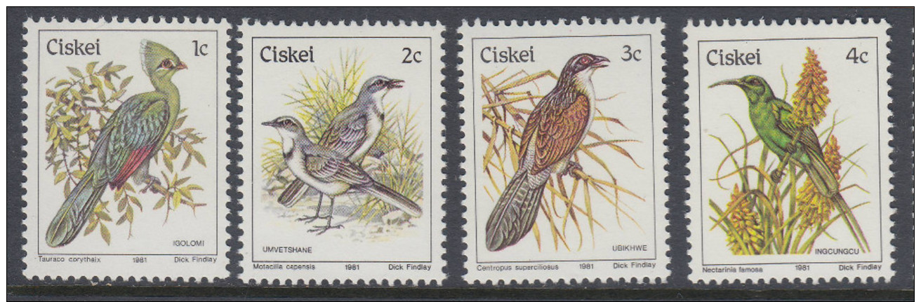 D90507 Ciskei South Africa 1981 MNH COMPLETE BIRDS DEFINITIVE Parrots Owls Doves - Afrique Du Sud Afrika RSA Sudafrika - Ciskei