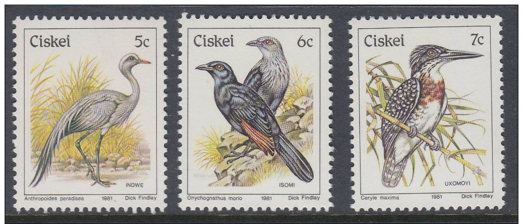 D90507 Ciskei South Africa 1981 MNH COMPLETE BIRDS DEFINITIVE Parrots Owls Doves - Afrique Du Sud Afrika RSA Sudafrika - Ciskei