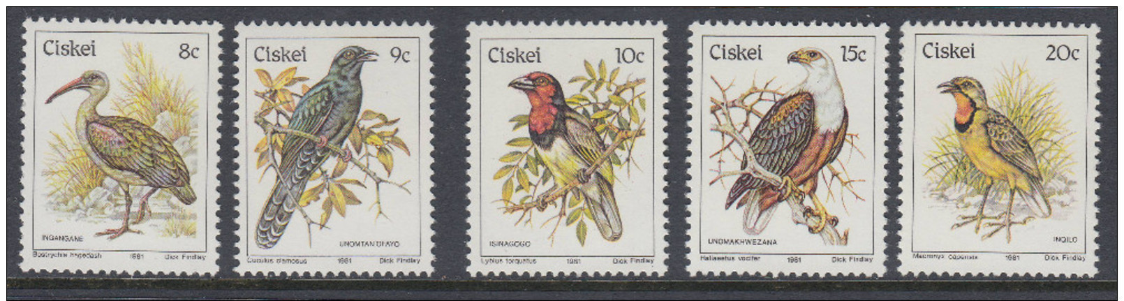 D90507 Ciskei South Africa 1981 MNH COMPLETE BIRDS DEFINITIVE Parrots Owls Doves - Afrique Du Sud Afrika RSA Sudafrika - Ciskei