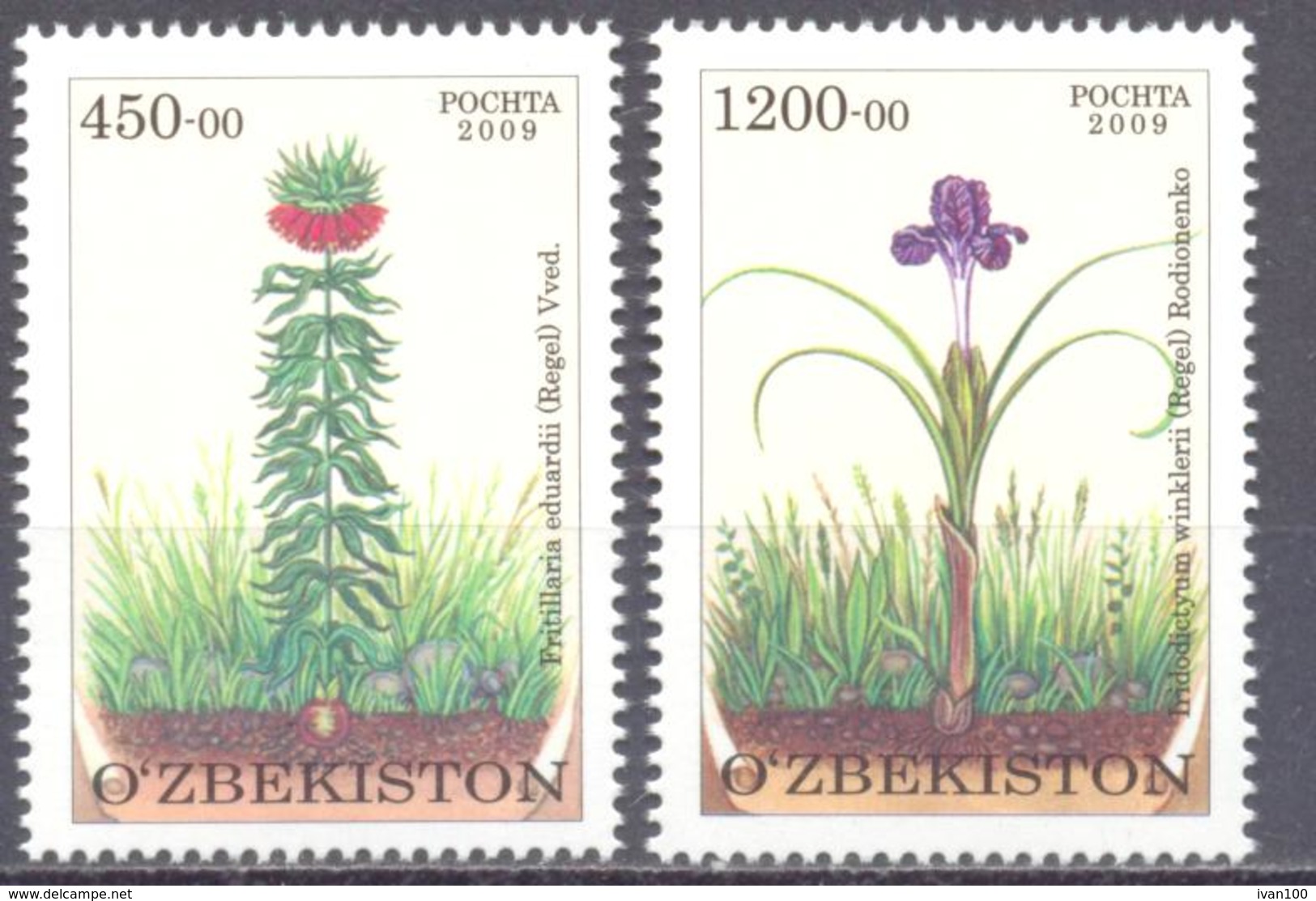 2010. Uzbekistan, Flowers, Protected Flora In Uzbekistan, 2v, Mint/** - Ouzbékistan