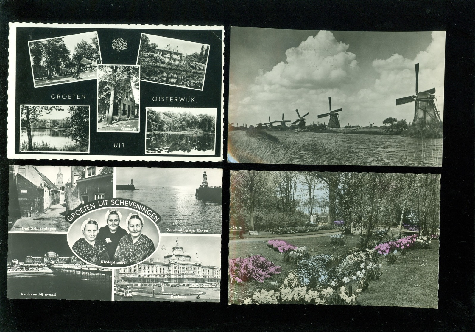 Mooi lot van 60 postkaarten van Nederland  Holland     - 60 scans