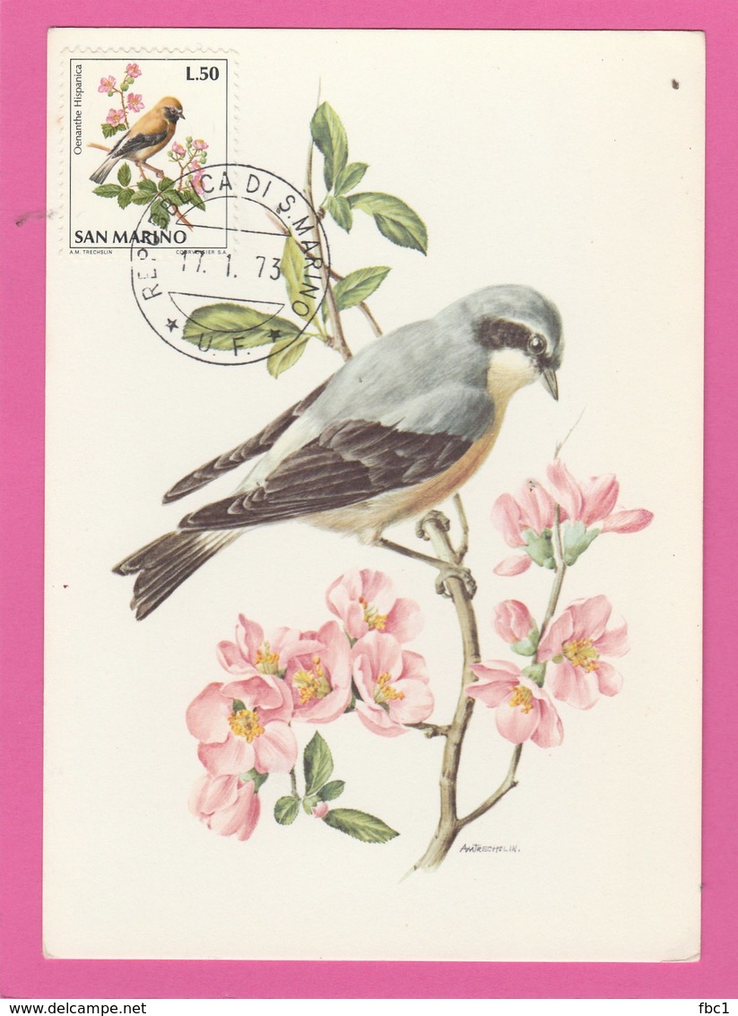 Carte Maximum - Oiseaux - Traguet Motteux - R. De San Marino - Spatzen