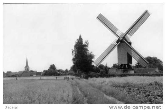 ZINGEM (O.Vl.) - Molen/moulin - Meuleken 't Dal Na De Restauratie In Open Landschap. Kerk Op De Achtergrond. (1986) - Zingem