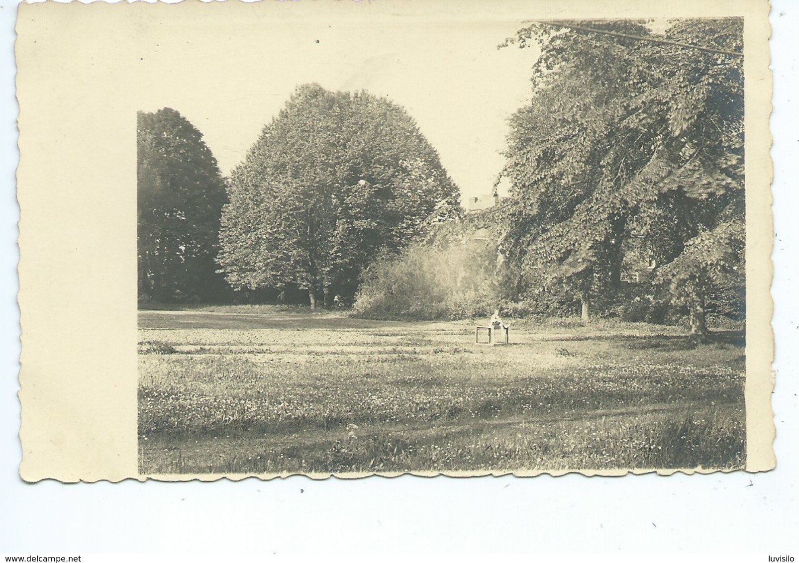 Erbaut Jurbise Parc Du Château ( 2 Photocartes ) - Jurbise