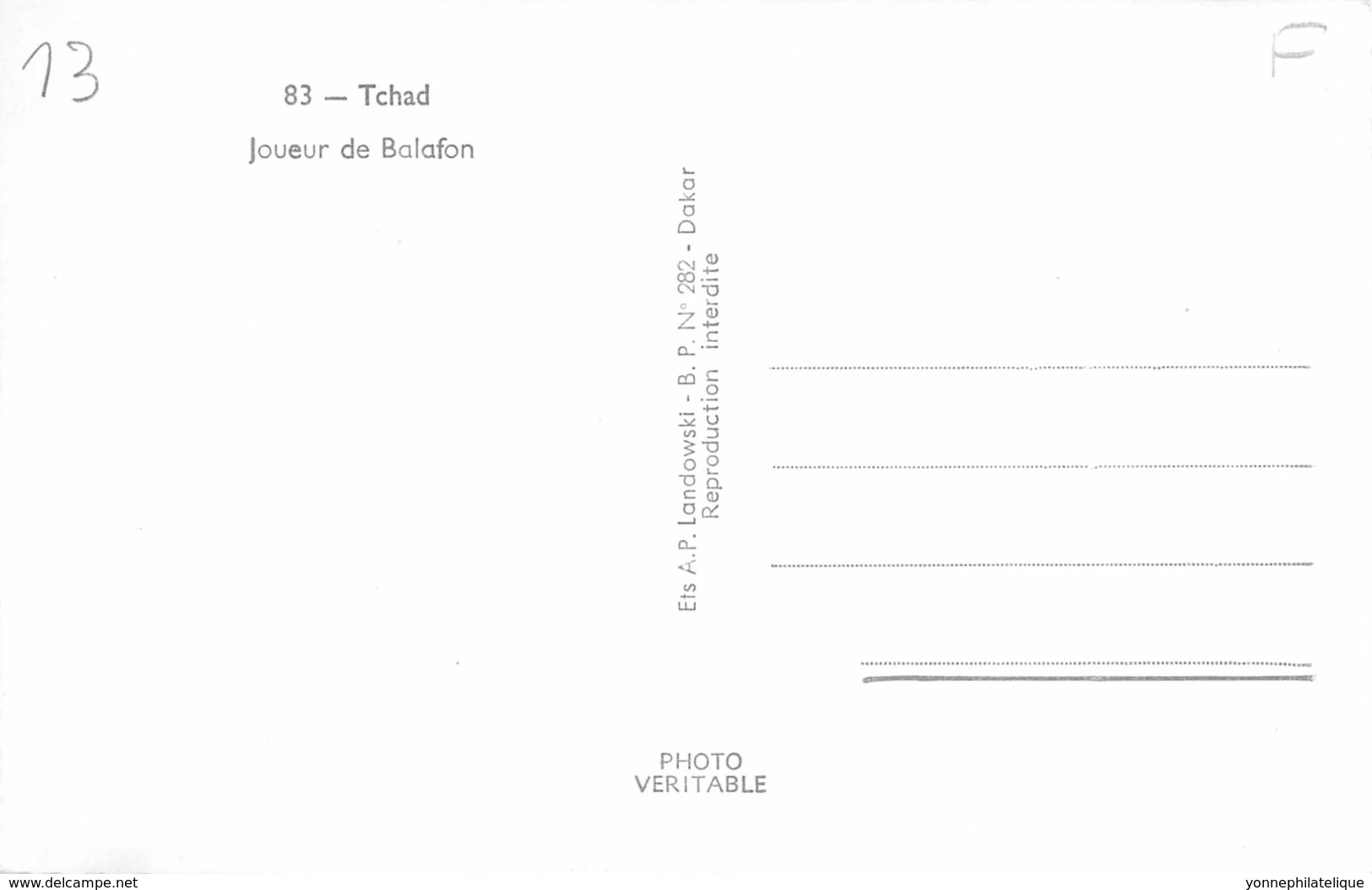 Tchad - Ethnic / 13 - Joueur De Balafon - Tchad