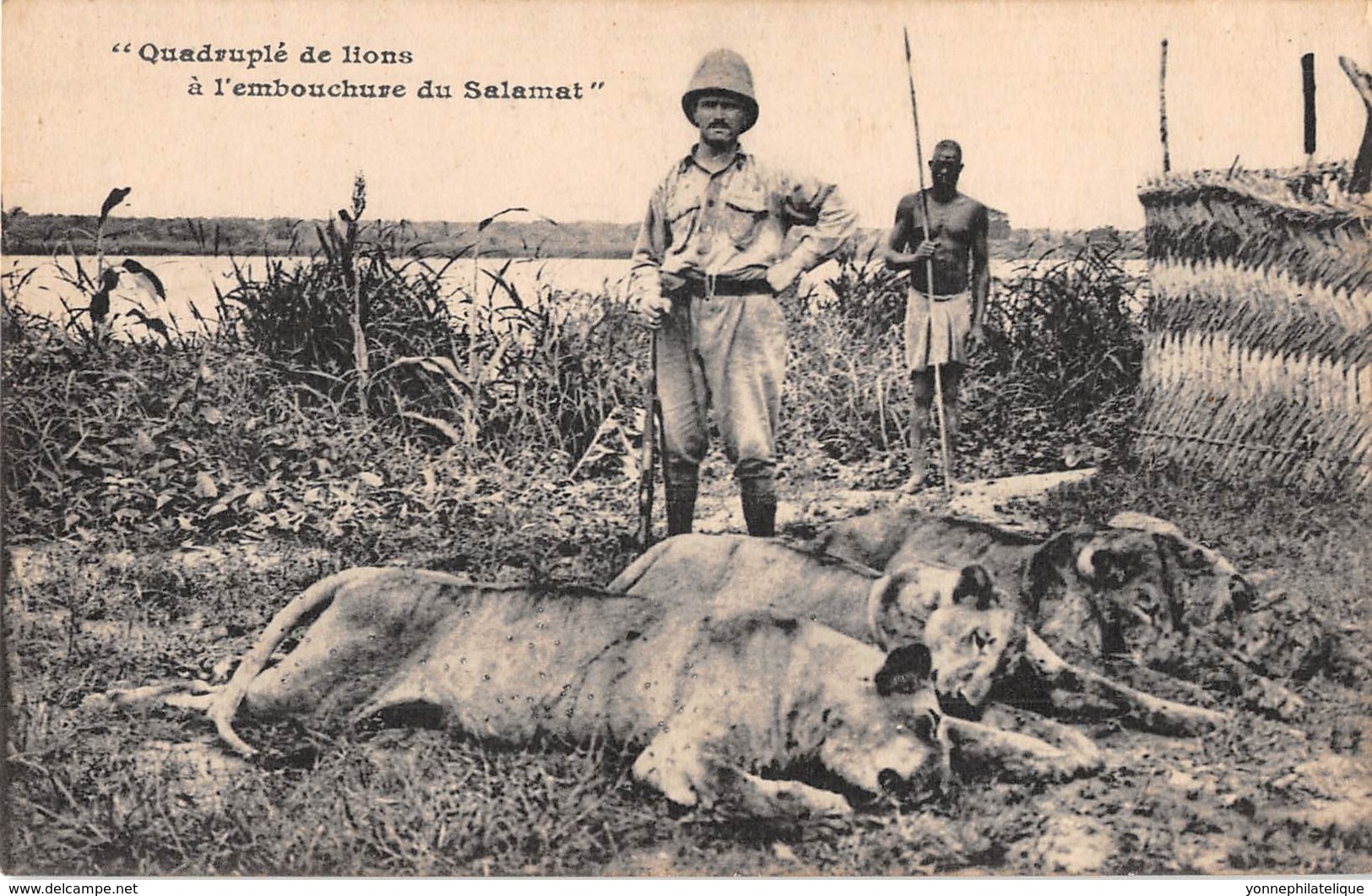 Tchad - Ethnic / 26 - Chasse - Quadruplé De Lions - Tchad