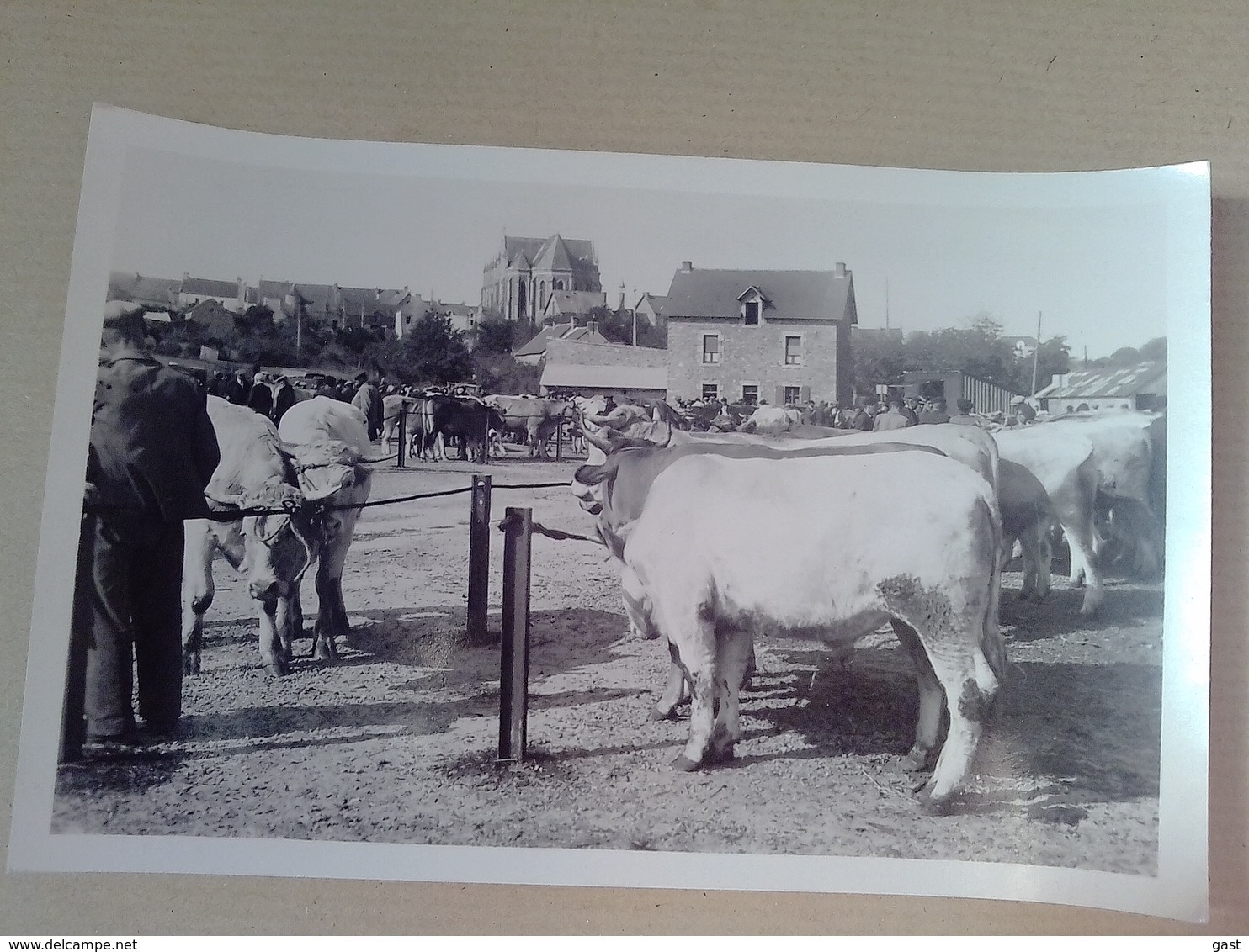 44  HERBIGNAC    LE  CHAMP  DE  FOIRE - Herbignac