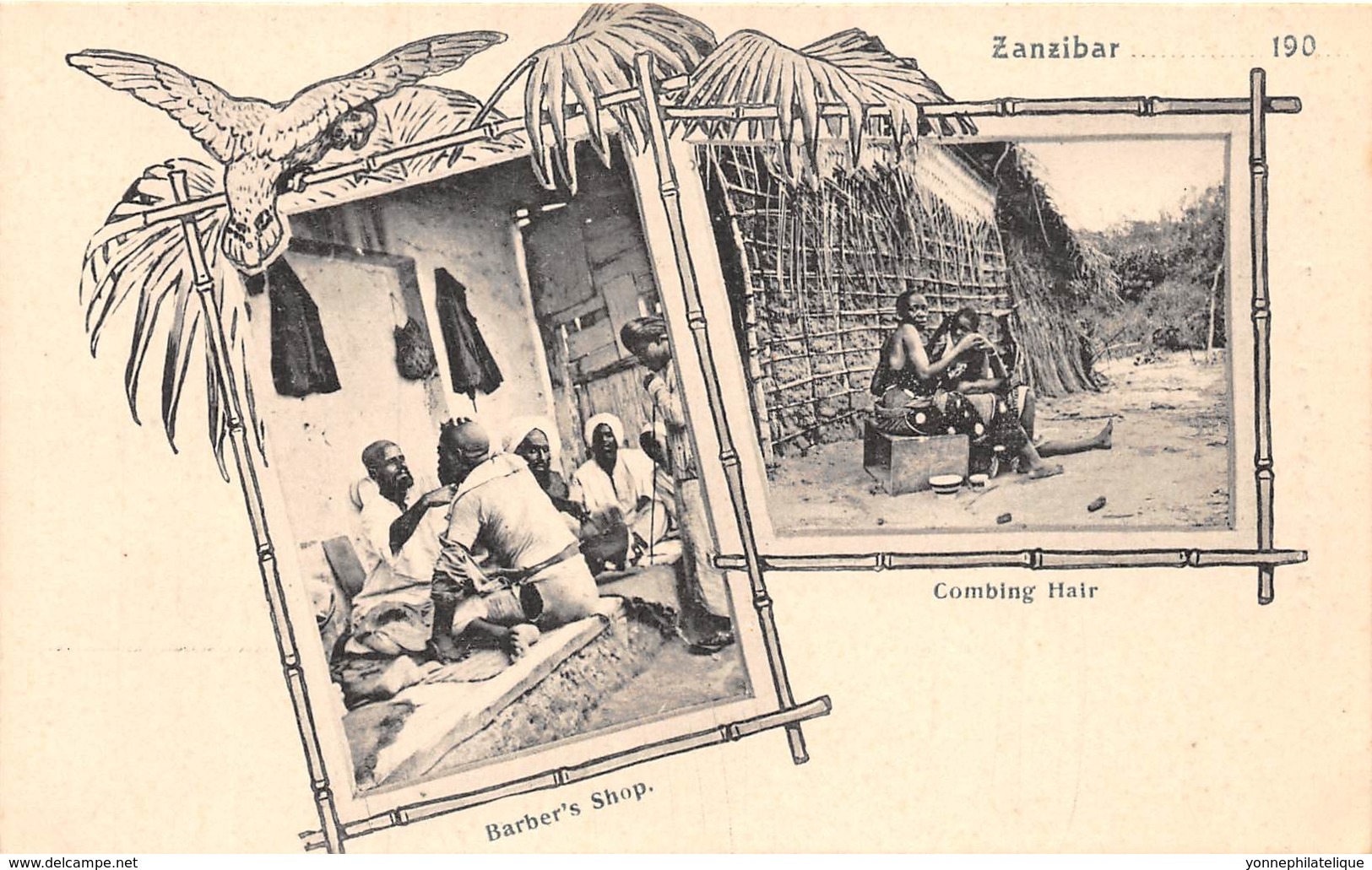 Zanzibar - Topo / 16 - Beau Cliché - Tanzanie