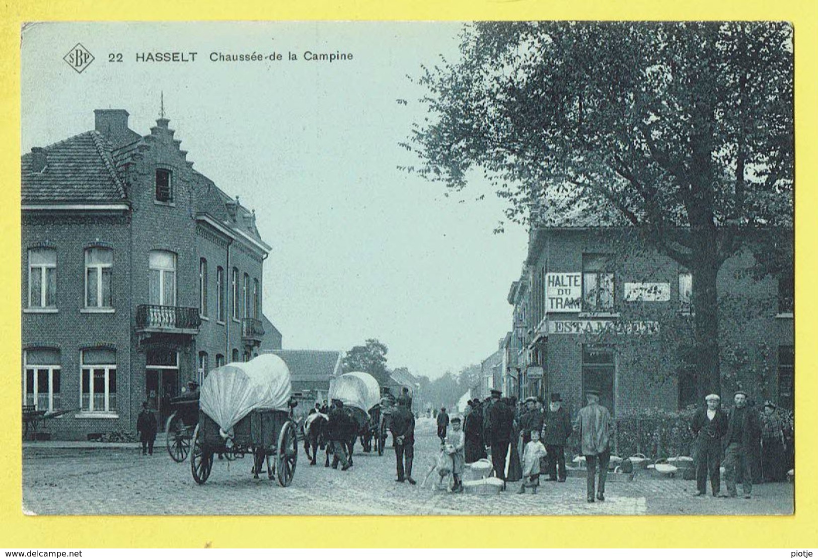 * Hasselt (Limburg) * (SBP, Nr 22) Chaussée De La Campine, Estaminet Halte Du Tram, Animée, Char, TOP, Zeldzaam, Rare - Hasselt