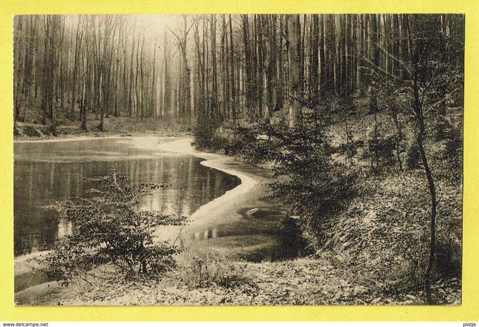 * Boitsfort - Watermaal Bosvoorde (Bruxelles) * (Ed Adelot) Ligue Des Amis De La Foret De Soignes, étang, Bos, Rare - Watermaal-Bosvoorde - Watermael-Boitsfort