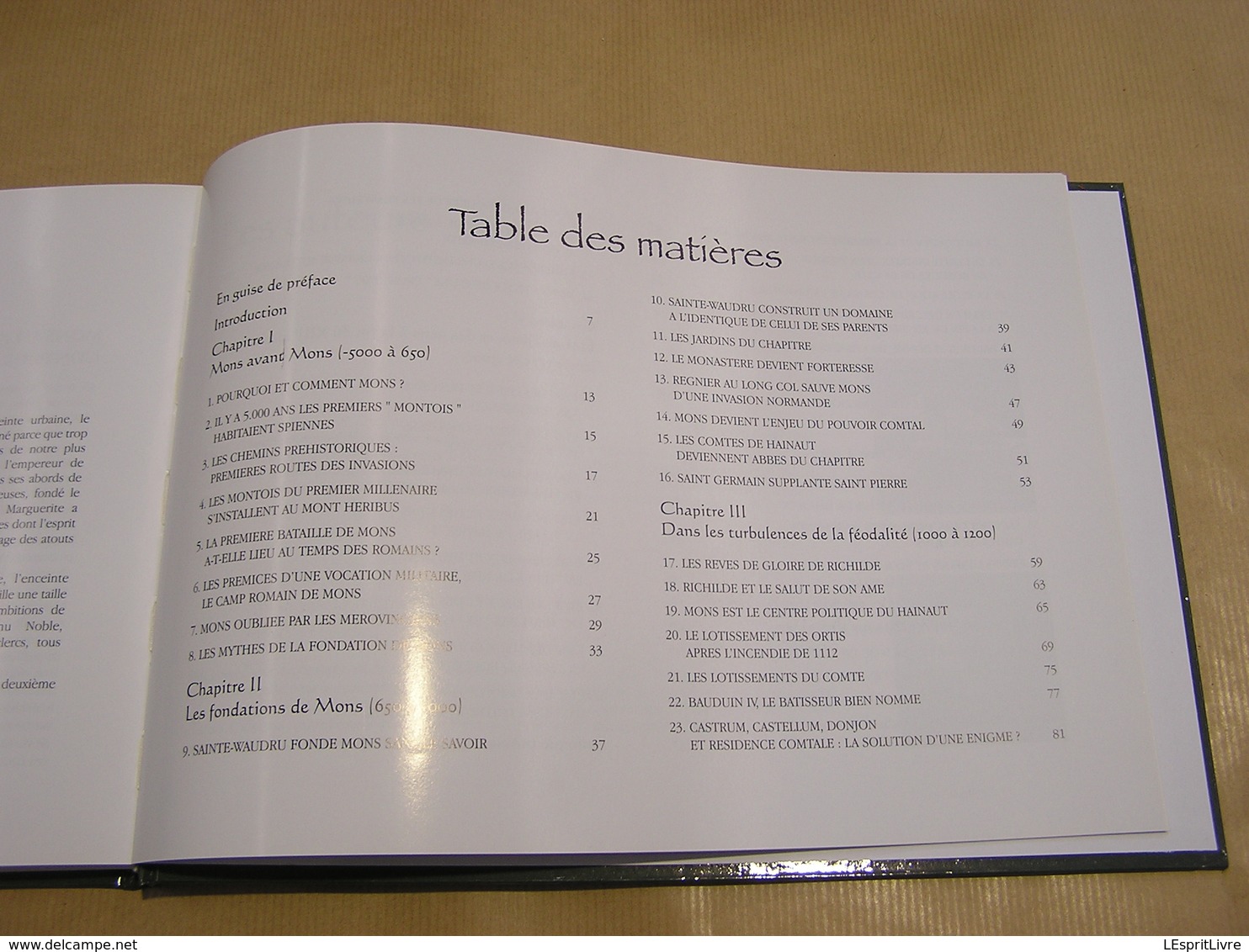 ILS ONT CONSTRUIT MONS Régionalisme Hainaut Histoire De La Ville Tome 1 Des Origines à La Fin Du XIII è Siècle Moyen Age - België