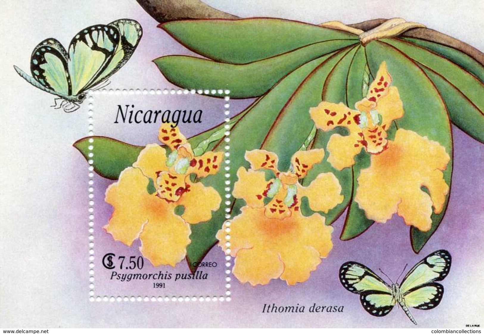 Lote 1991, Nicaragua, 1870, HF, SS, Orquidea, Orchid - Nicaragua